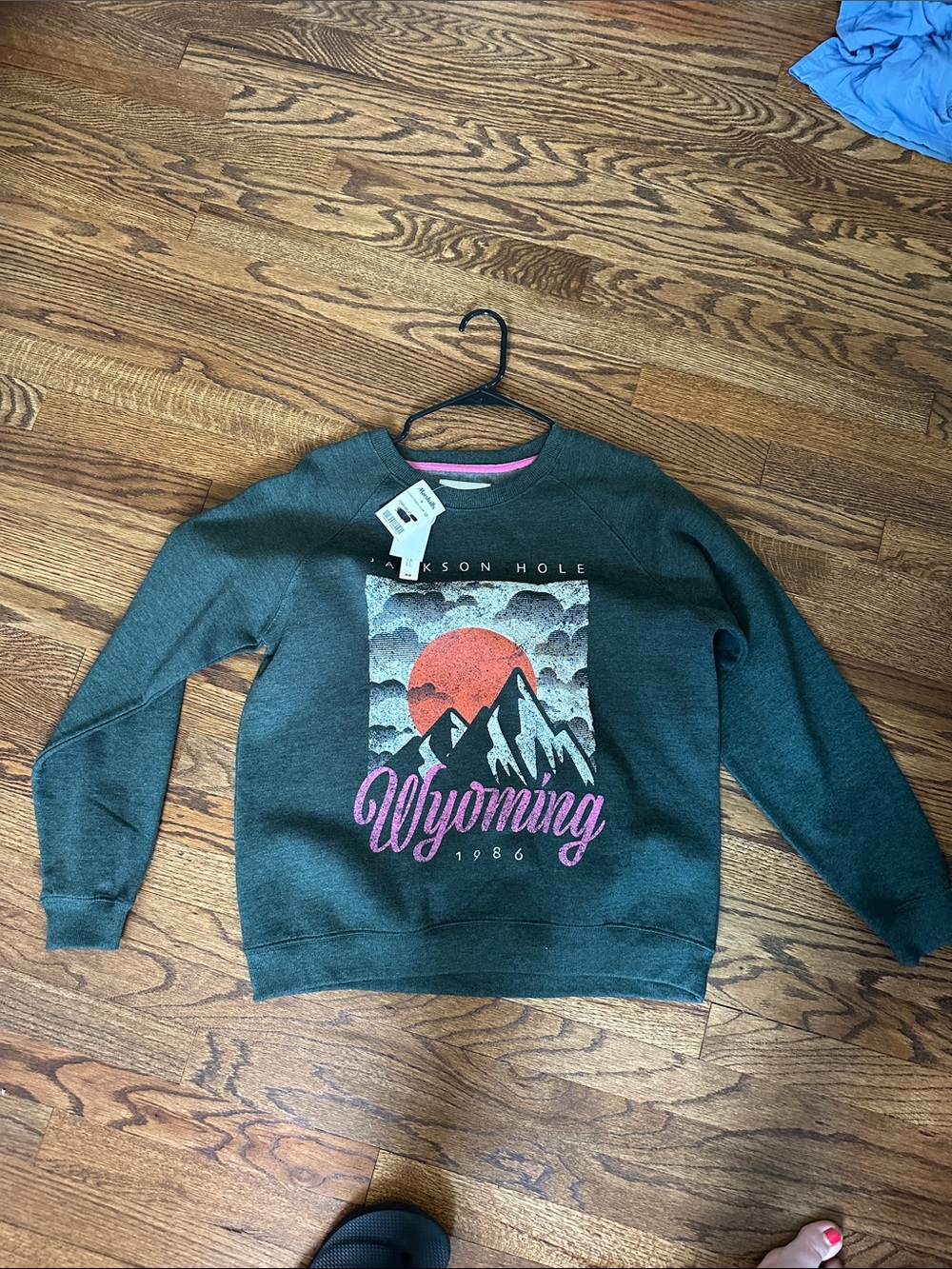 Wallflower Dark Green Crewneck with Pink Trim & Red Graphic